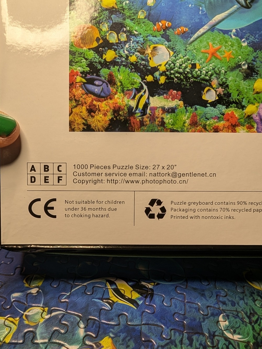 Dolphin Reef 1000-Piece Puzzle - Blue & Green - Picture 2 of 3